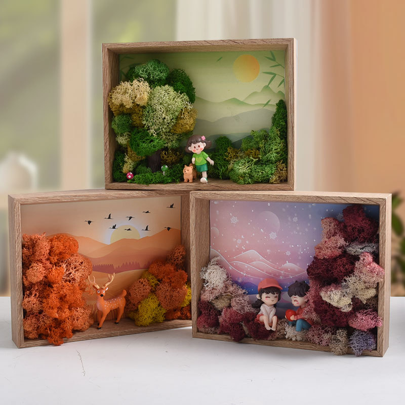 Seaweed Art DIY Kit - 3D Frame - Plant Parent Gift Set recension och pris