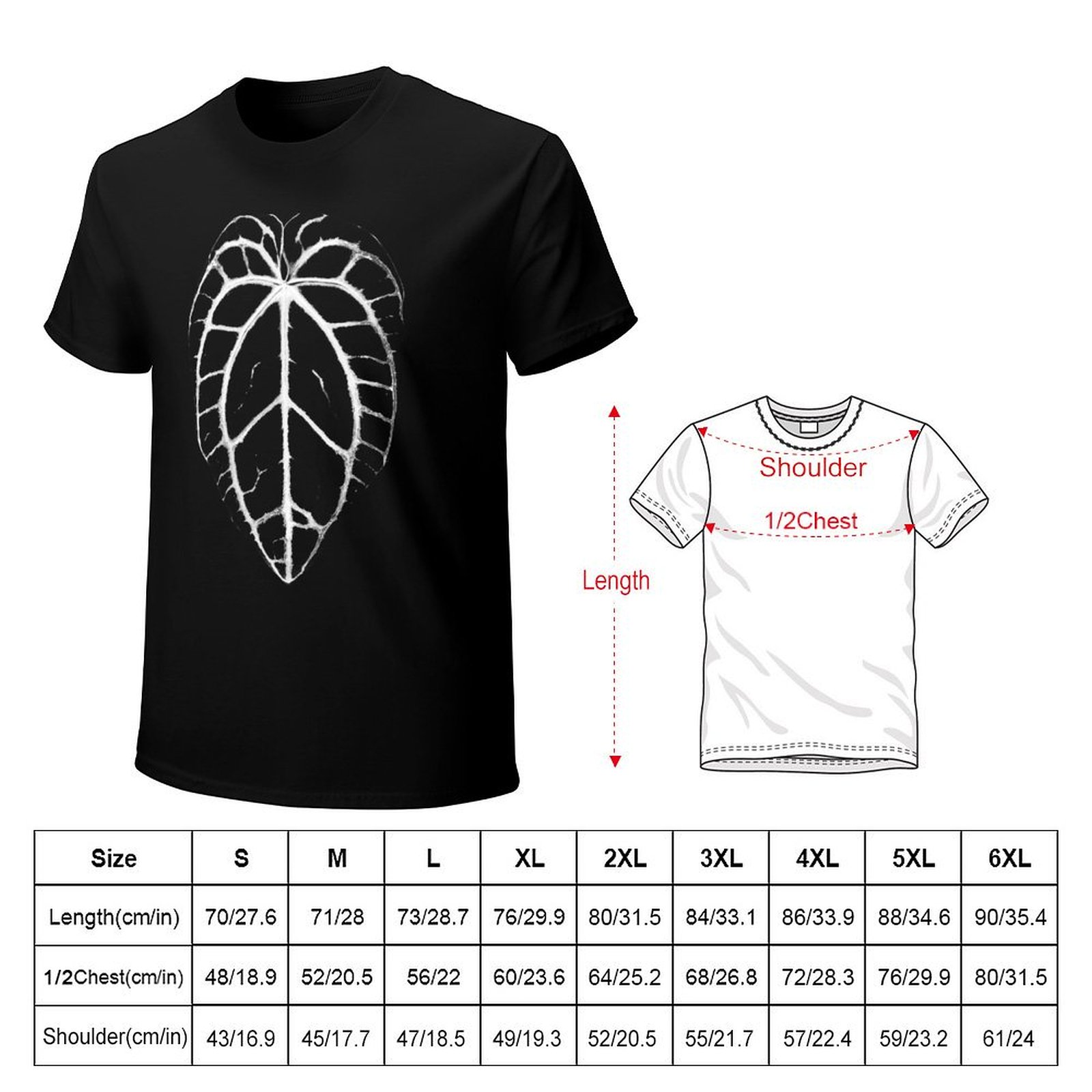 ANTHURIUM CRYSTALLINUM VEINS T - Anthurium Crystallinum recension och pris