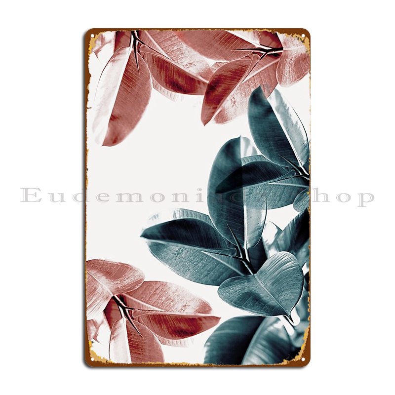 Rubber Plant Leaves Green And  - Rubber Plant Ficus recension och pris