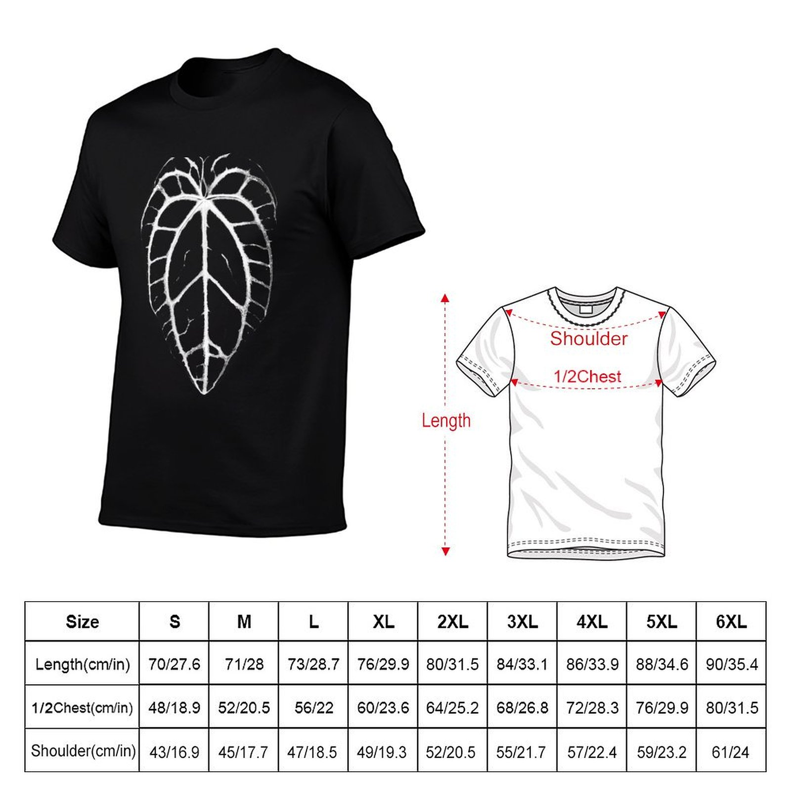 ANTHURIUM CRYSTALLINUM VEINS T - Anthurium Crystallinum recension och pris