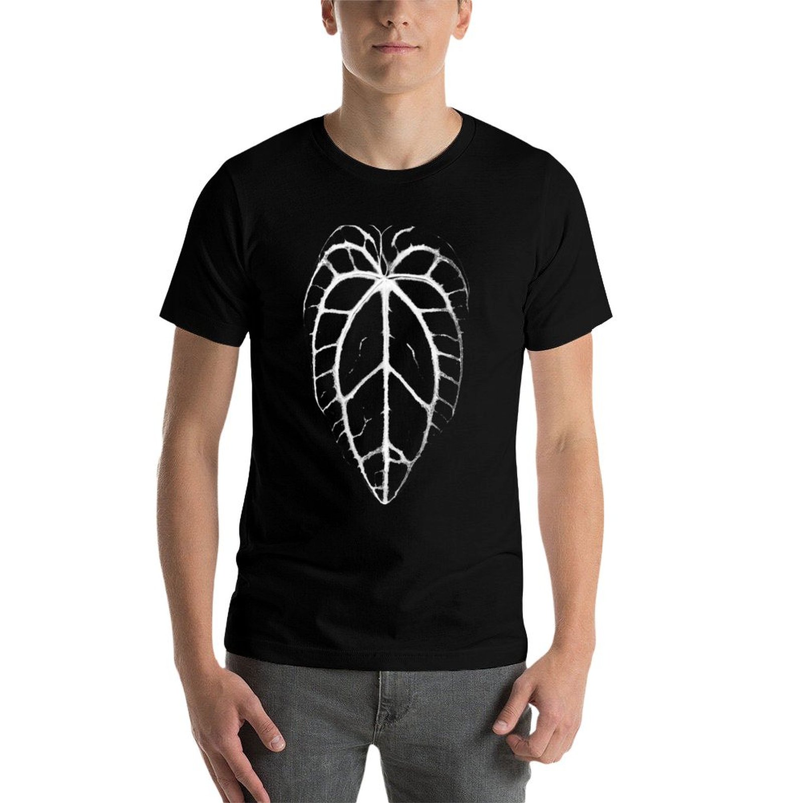 ANTHURIUM CRYSTALLINUM VEINS T - Anthurium Crystallinum recension och pris